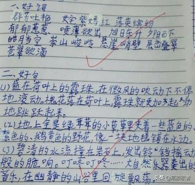 四年级孩子语文不好怎么办