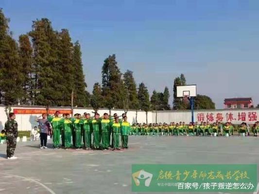 孩子在学校被同学欺负怎么办