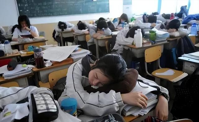 初二女生不想上学可以学什么