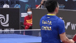 什么？鸽子也会打乒乓球？