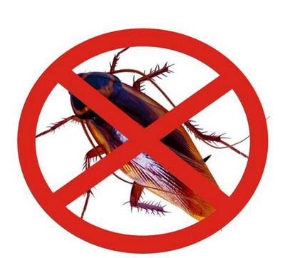 对付蟑螂有哪些的绝招？