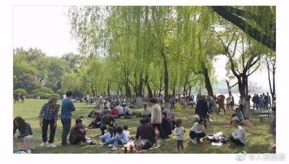 什么是“草坪水泡”? 什么是“草坪水泡”?
