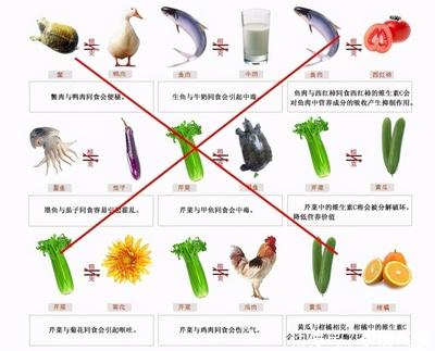 牛奶会和其他食物会相克吗？