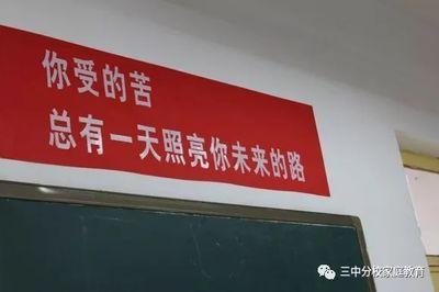 初三苦还是高一苦
