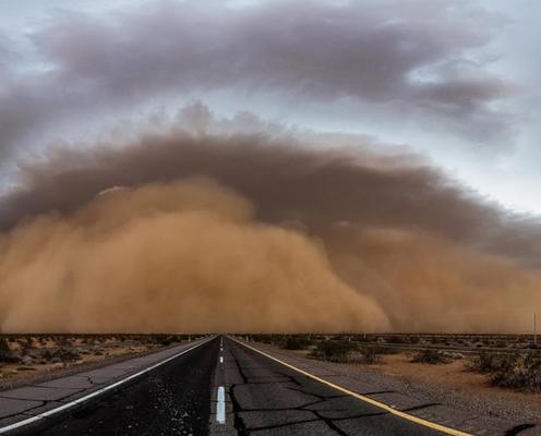 得之我幸失之我命！十二星座为爱抵死纠缠排行榜