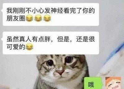 男生追女生的时候该如何进行聊天才能得到好感