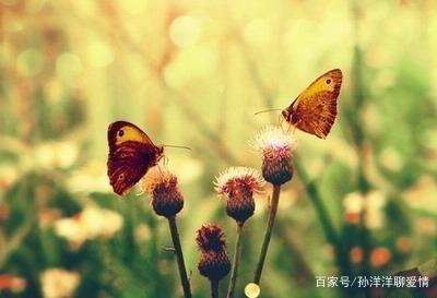 经常心情不好，是不是你的心态不对？
