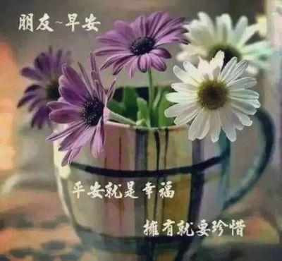 什么样的朋友值得你去珍惜