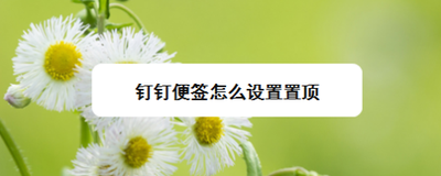 钉钉便签怎么置顶和删除？怎么创建便签？