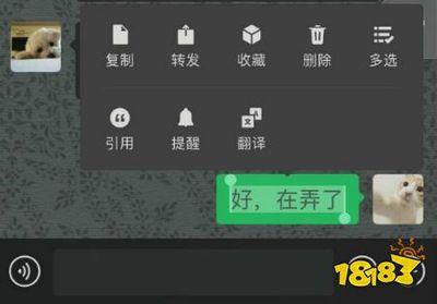 微信拍一拍气泡提示怎么玩？