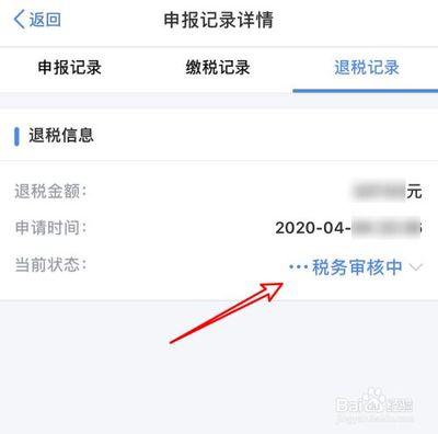 个税退税申请以后在哪查看进程？