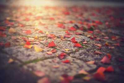 失恋后想挽回怎么办：仙女恋爱手册