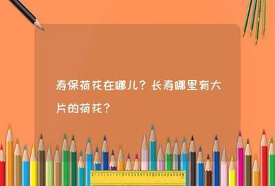城乡居民医保门诊费用怎么报销