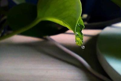 Soul怎么设置数字资产密保