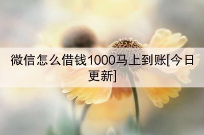 微信如何借款马上到账 微信如何借款马上到账