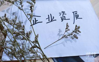 怎么查一个公司的资质