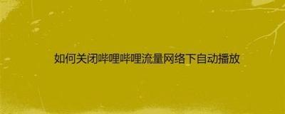 哔哩哔哩如何关闭流量下自动播放视频