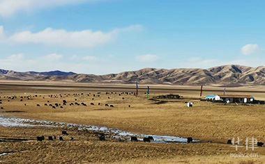 辞职了五险怎么续保