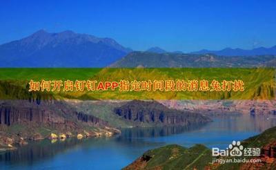 钉钉如何开启消息免打扰功能