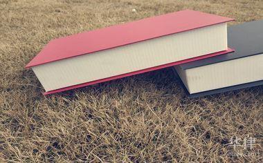 农村土地违规怎样举报