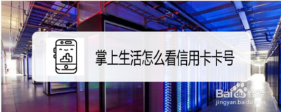 掌上生活APP如何查看信用卡卡号