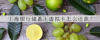 上海银行储蓄卡怎么还款