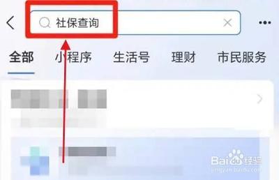 养老金凭证信息怎么查