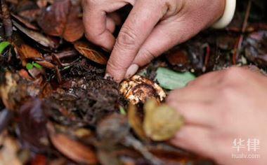 养老保险怎么计算的