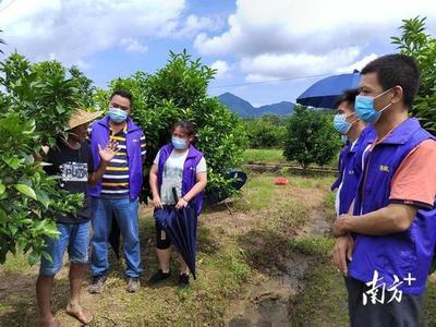 这城有良田如何升级果园