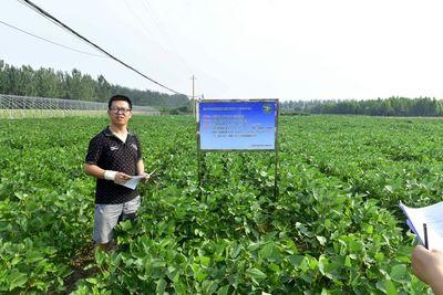 桃源深处有人家如何种植大豆