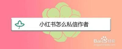 小红书在哪里能私信作者