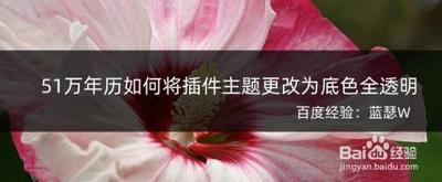 要让西窗烛的插件背景全透明有什么办法