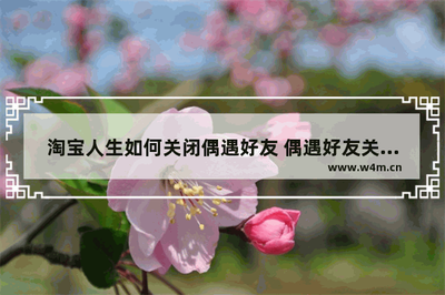 淘宝人生偶遇好友关闭的操作