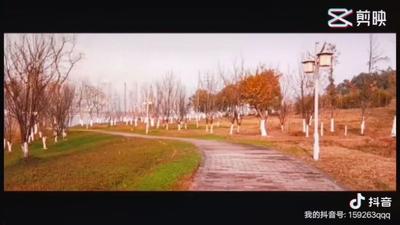 抖音春日好时光怎么弄