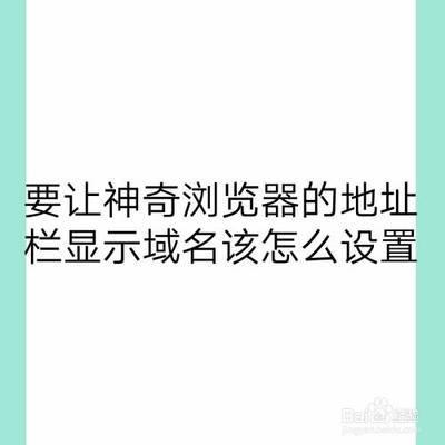 怎样让神奇浏览器app显示HTTPS标识