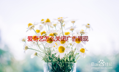 爱奇艺怎么关闭展现数据广告？