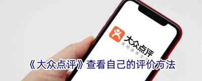 大众点评怎么查看应用相关信息