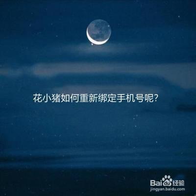 怎么修改花小猪手机号