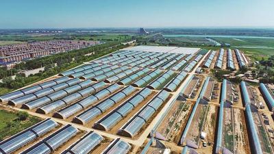 如何让魅力贺兰的正文字号为特大号