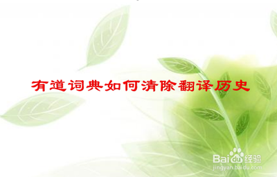 如何清除彩云小译的文档翻译记录