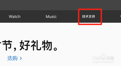 iPhone手机怎么使用更换电池服务？