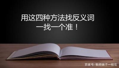 如何使用拼音查询手册进行中文反义词查询