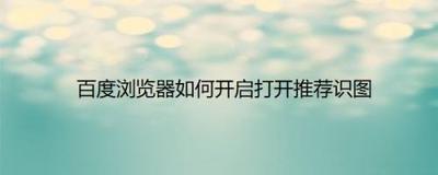 次元站怎么开启推荐识图