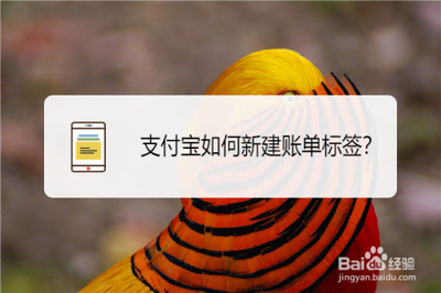 支付宝怎么新建账单标签