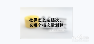 支付宝社保缴费怎么选档