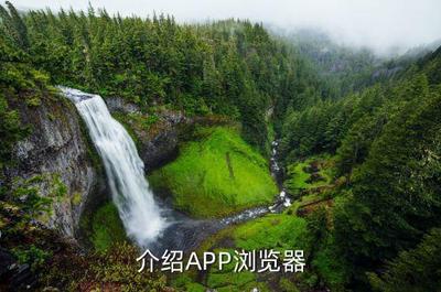 如何让指点浏览器app提供搜索和网站建议
