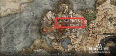 如何开启球长体育的环信服务