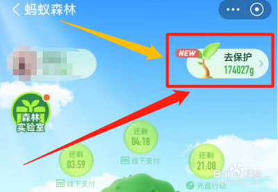 怎么参加支付宝古树保护支持许愿 怎么参加支付宝古树保护支持许愿