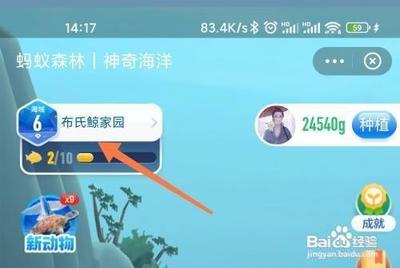 怎么查看支付宝潘多拉海域动态