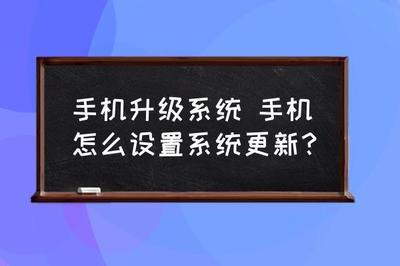手机如何进行系统升级